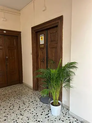 a plant in a pot in front of a door at loft 06 - new opening in Rome