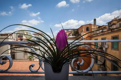 a purple flower in a pot on a balcony at Casa 901 - The Italian Stay Collection in Rome
