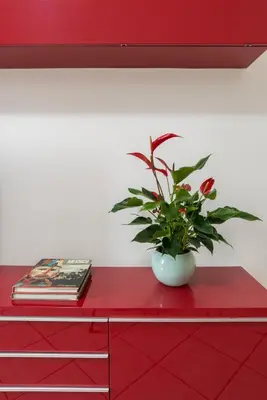 a red dresser with a plant in a vase on it at Terrazza San Lorenzo - Luxury Apartment - Roma Centro in Rome
