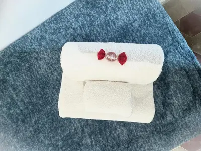 a pair of red bows on a white towel at Rome Ostiense Apartment in Rome