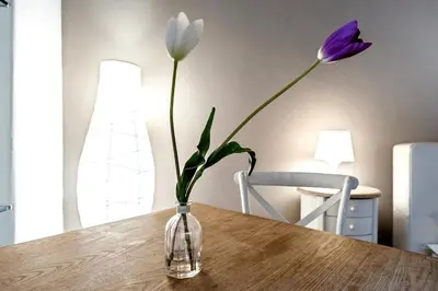a purple flower in a vase on a table at Beautiful in Rome