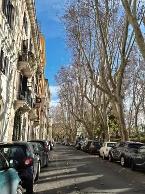 a street with cars parked on the side of the road at Ripetta Views Luxury room and suite in Rome