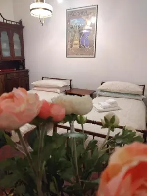 two twin beds in a room with flowers at Camilla's House in Rome