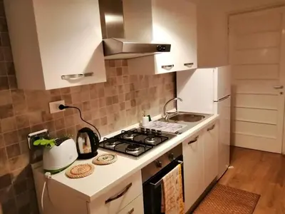 a small kitchen with a stove and a sink at Art House Vatican Elegante appartamento Centrale in Rome
