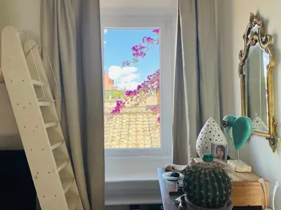 a room with a window view of a street with flowers at Silent Oasis of Trastevere in Rome