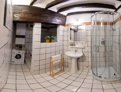 a bathroom with a shower and a toilet and a sink at Domus Pellegrino heart of ROME in Rome