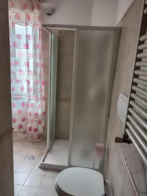 a bathroom with a toilet and a shower at Mary Apartment in Rome