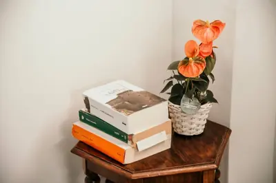 a stack of books sitting on a table with a flower at Vatican Suite 