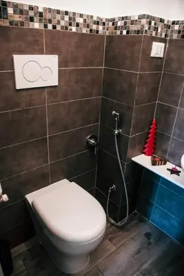 a bathroom with a toilet and a shower at Vatican Suite 