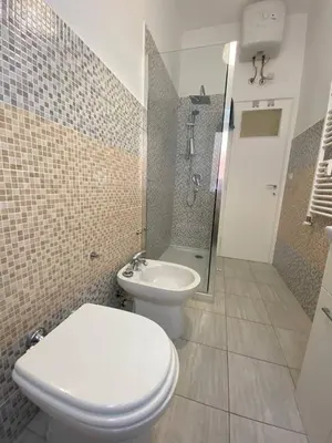 a bathroom with a toilet and a shower and a sink at Armandino's sweet home Roma in Rome