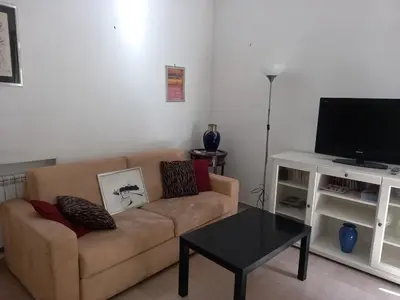 a living room with a couch and a tv at Caffarella Apartment in Rome