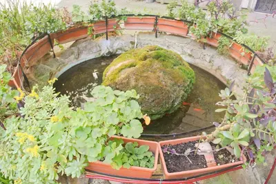 a garden with a large rock and some plants at LarissaRooms in Rome