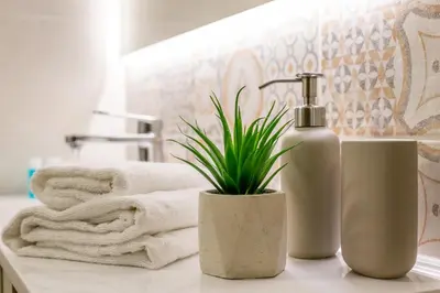 a bathroom counter with a bottle of soap and a plant at iFlat Campo de Fiori's Comfy Gem in Rome