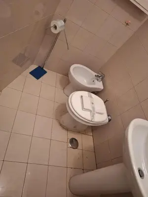 a bathroom with a toilet and a sink at apt treviso house in Rome