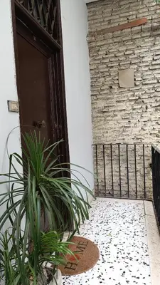 a door with a plant in front of a building at Trastevere Bertani MiniApartment in Rome