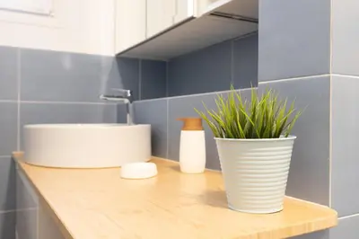 a bathroom counter with a sink and a plant at Kimera42 Casa Vacanze in Rome
