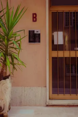 a plant in front of a building with a door at Urban House Monteverde in Rome