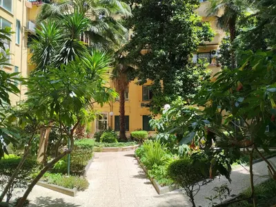 a garden in front of a building with trees and plants at DomuSolina in Rome