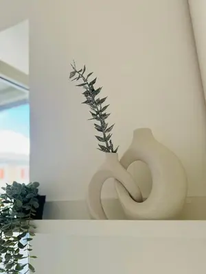 two vases sitting on a shelf next to a plant at Vaschome in Rome