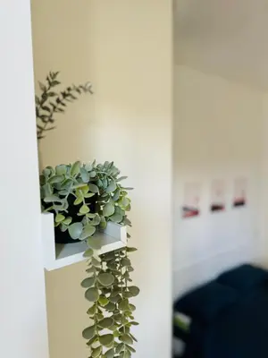 a green plant in a white planter on a wall at Vaschome in Rome