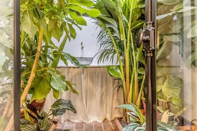 a room filled with lots of green plants at EVA Loft in Rome