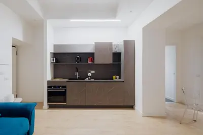 a kitchen with a sink and a stove in a room at Giulio Cesare Flat - VATICAN in Rome