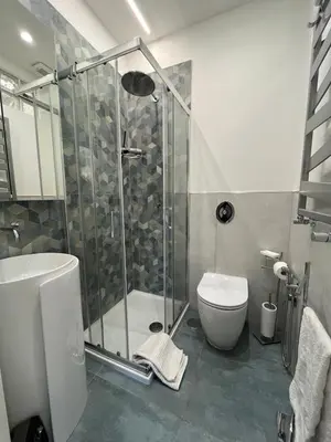 a bathroom with a shower and a toilet at Domus Roma Apartment in Rome