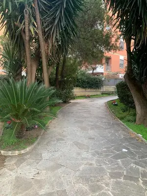 a stone walkway with trees and plants in a park at Peck House in Marconi San Paolo in Rome