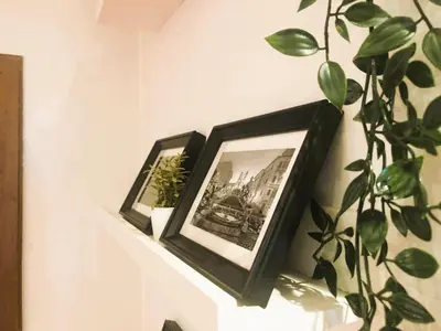two framed pictures on a wall with a plant at Urbanhome, ready to visit Rome! in Rome