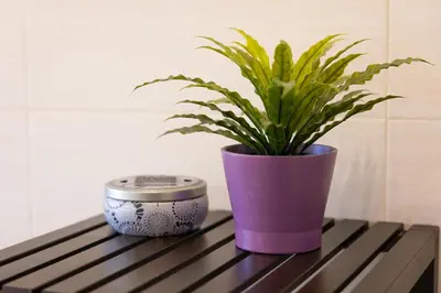 a plant in a purple pot sitting on a table at Altavilla by Rental in Rome in Rome
