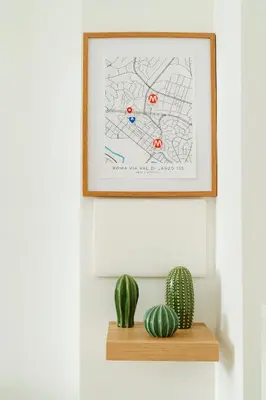 a picture on a wall above a shelf with a cactus at Suite 155 in Rome