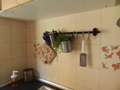 a kitchen wall with a plant and utensils at Appartamento di Nina in Rome