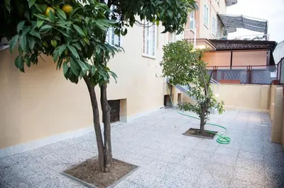 two trees in a courtyard next to a building at Casa Marini in Rome
