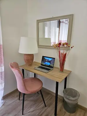 a desk with a laptop and a pink chair at Le Libellule apartment in Rome