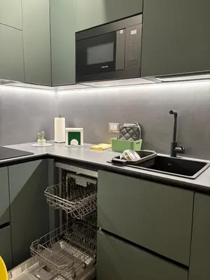 a kitchen with a sink and a dishwasher at Villino Ancillotto with garden and parking motorcycle space in Rome