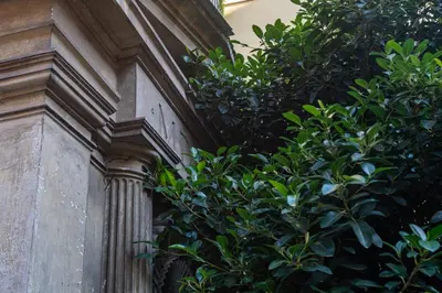 a bush next to a building with a tree at Historical Palace Apartment with Large Terrace in Rome