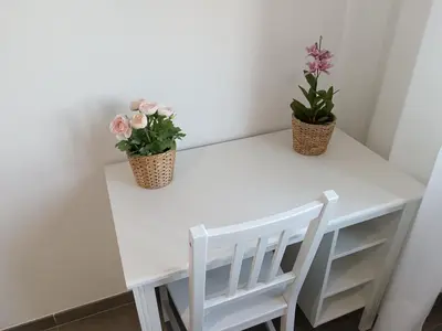 a white desk with two potted plants on it at Gigli Felici Roma in Rome