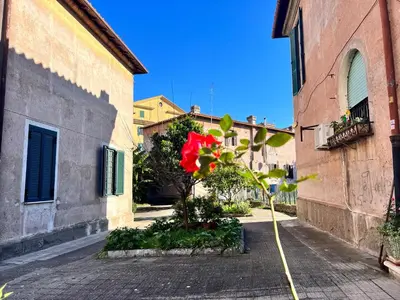 a red flower is growing in an alley at La casa di Nina in Rome