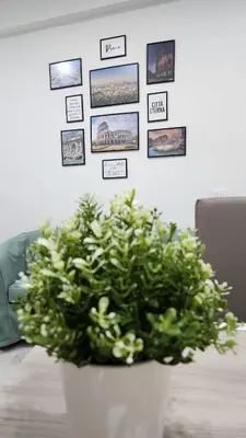a green plant in a white vase on a table at L'impero dei fiori in Rome