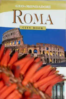 a book cover of rome city book with the coliseum at Home relax San Lorenzo in Rome