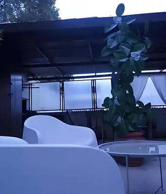 a room with two chairs and a table and a plant at Casa verde di Mia in Rome