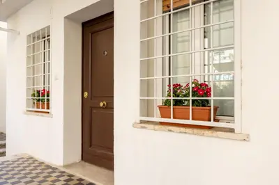 a door and window with potted plants on it at Roma 2 minuti a piedi dal Vaticano in Rome