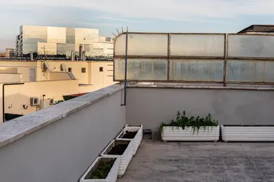 a balcony with two plants on top of a building at DODO Casa e appartamento per vacanze in Rome