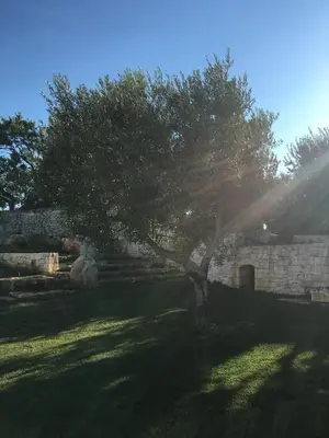 a tree in a yard next to a brick wall at Trullo Amato with exclusive pool in Rome