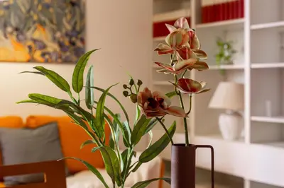 a vase with a plant on a table at iFlat Vatican Comfortable & Peaceful Retreat in Rome
