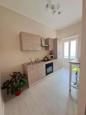 a large kitchen with wooden cabinets and a potted plant at Appartamento Aurelio in Rome