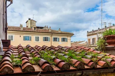 a roof with plants on top of a building at FCR Rome Apartments Loft Campo de' Fiori - Monserrato in Rome