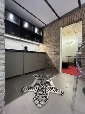 a kitchen with a zebra rug on the floor at Colosseum loft in Rome