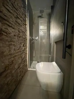 a white toilet in a bathroom with a shower at Colosseum loft in Rome