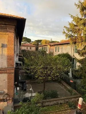 a view of a courtyard with a tree and buildings at La casa di Giulia in Rome